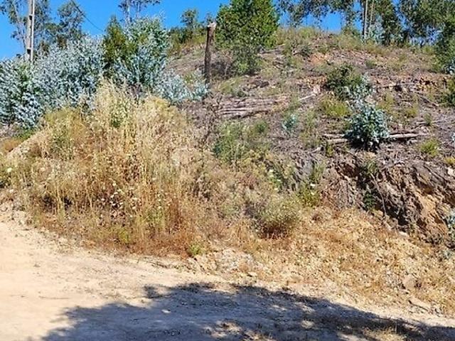 Terreno venda em Monchique