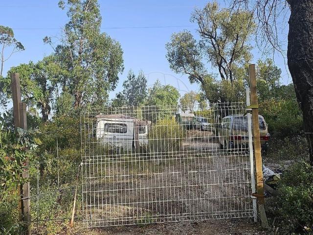 Terreno venda em Monchique