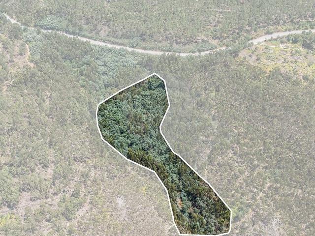 Terreno venda em Pousadouro, Mondim de Basto