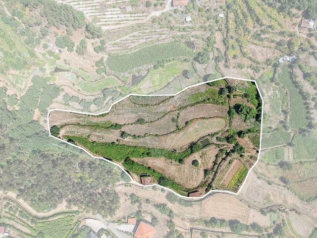 Terreno venda em Vilar de Ferreiros, Mondim de Basto