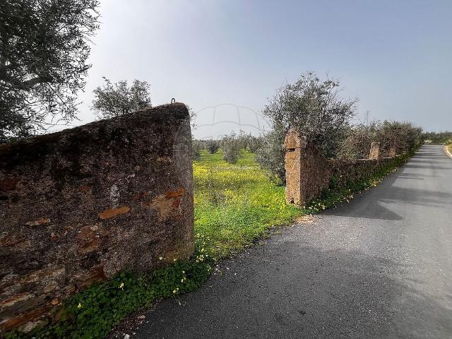 Terreno venda em Monforte da Beira, Castelo Branco
