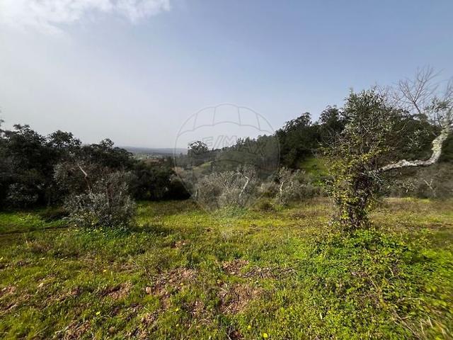 Terreno venda em Monforte da Beira, Castelo Branco