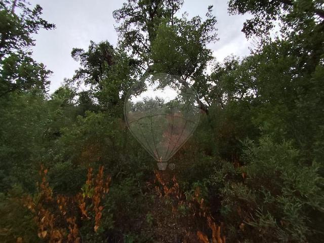Terreno venda em Monforte da Beira, Castelo Branco
