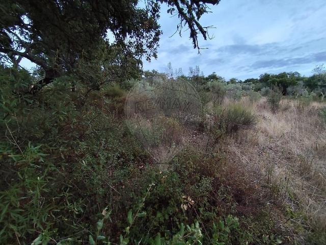 Terreno venda em Monforte da Beira, Castelo Branco
