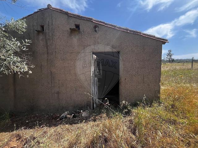 Terreno venda em Monforte da Beira, Castelo Branco