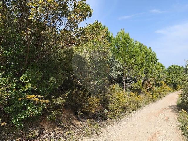 Terreno venda em Monsanto, Alcanena