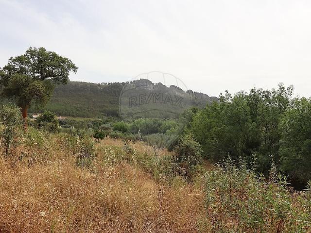 Terreno venda em Monsanto e Idanha-a-Velha, Idanha-a-Nova