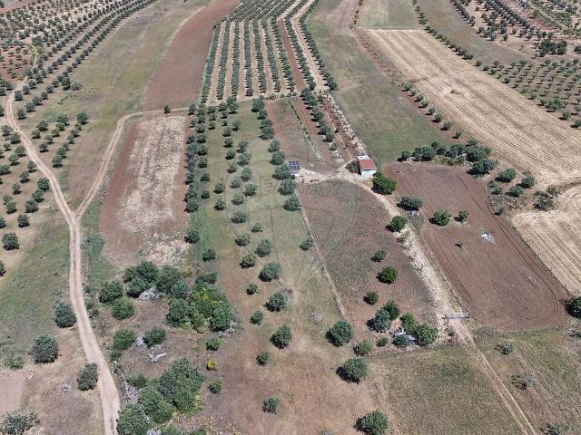 Terreno venda em Monsaraz, Reguengos de Monsaraz