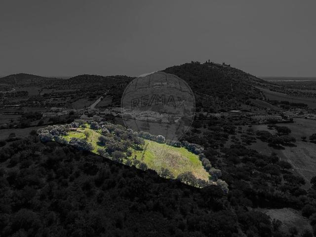 Terreno venda em Monsaraz, Reguengos de Monsaraz