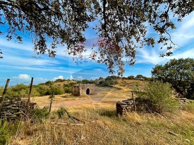 Terreno venda em Monsaraz, Reguengos de Monsaraz