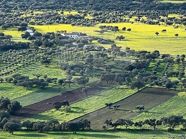 Terreno venda em Monsaraz, Reguengos de Monsaraz