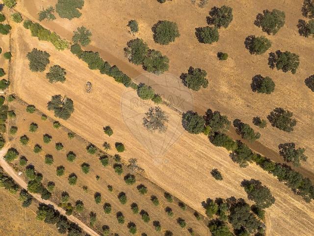 Terreno venda em Monsaraz, Reguengos de Monsaraz