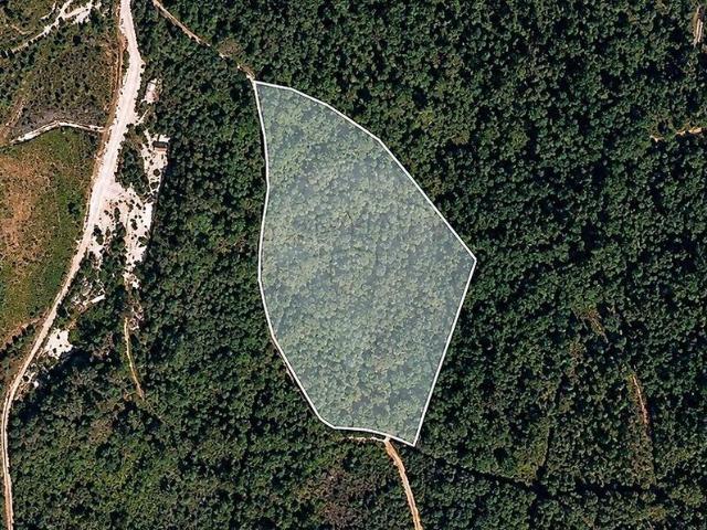 Terreno venda em Viade de Baixo e Fervidelas, Montalegre