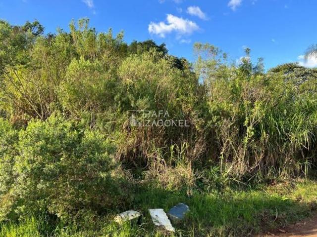 Terreno venda em Lajeado