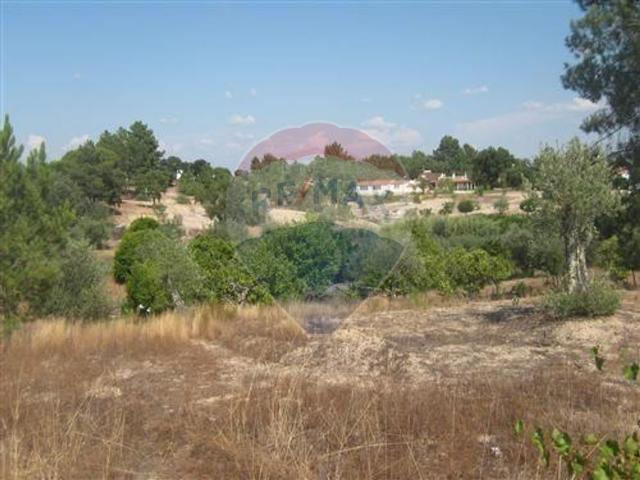 Terreno venda em Ponte De Sor, Portalegre