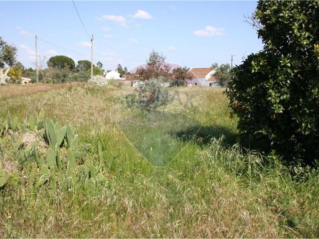 Terreno venda em Vale Torrrado, Ponte De Sor