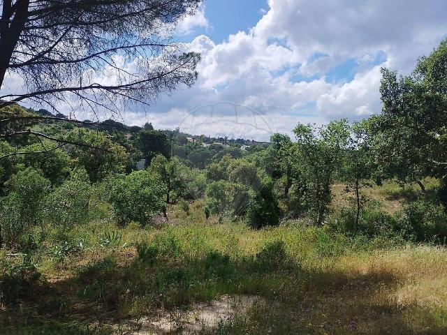 Terreno venda em Montargil, Ponte de Sor
