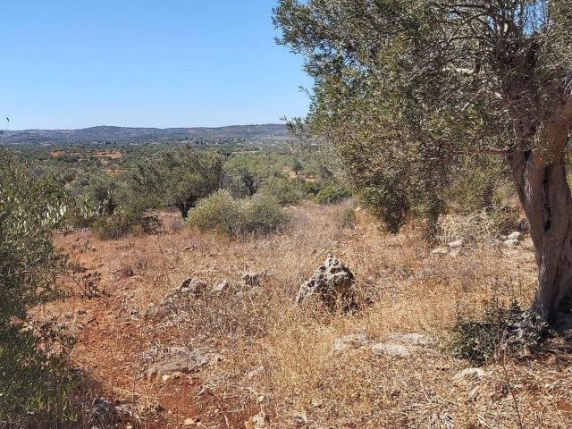 Terreno venda em Loulé, Faro