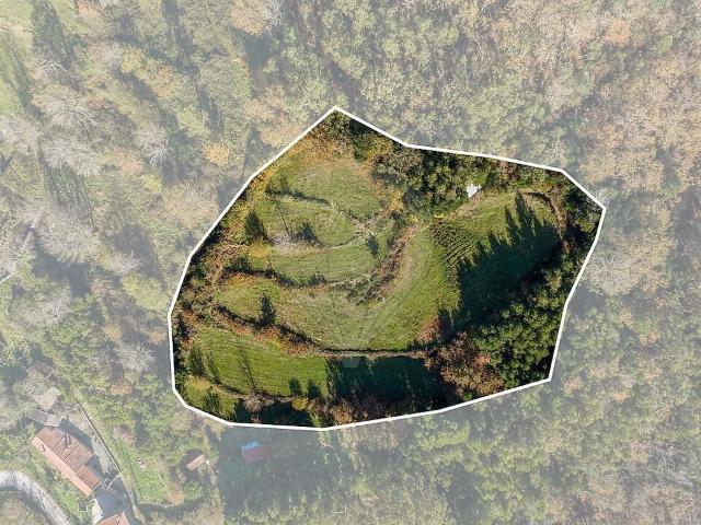 Terreno venda em Monte e Queimadela, Fafe