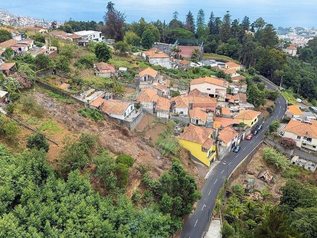 Terreno venda em Livramento, Funchal