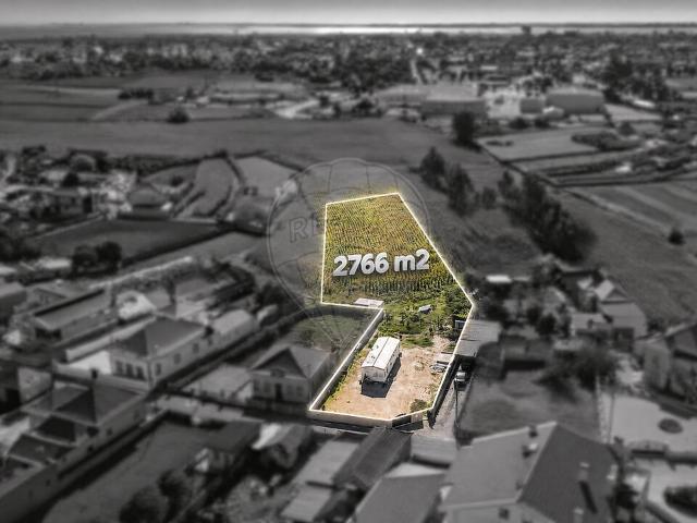 Terreno venda em Saldida, Monte