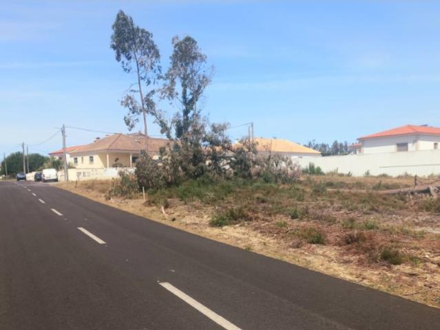 Terreno venda em Caravela, Leiria