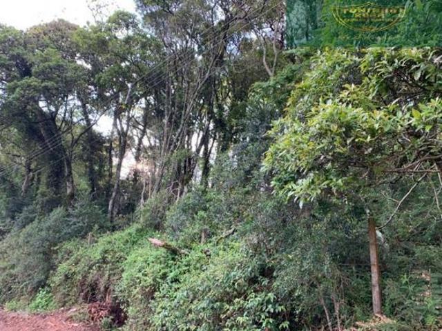 Terreno venda em Região Geográfica Imediata de Pouso Alegre, Camanducaia
