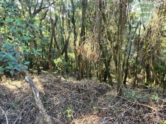Terreno venda em Região Geográfica Imediata de Pouso Alegre, Camanducaia