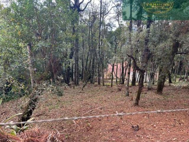 Terreno venda em Região Geográfica Imediata de Pouso Alegre, Camanducaia