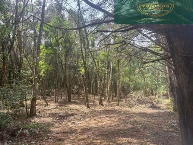 Terreno venda em Região Geográfica Imediata de Pouso Alegre, Camanducaia