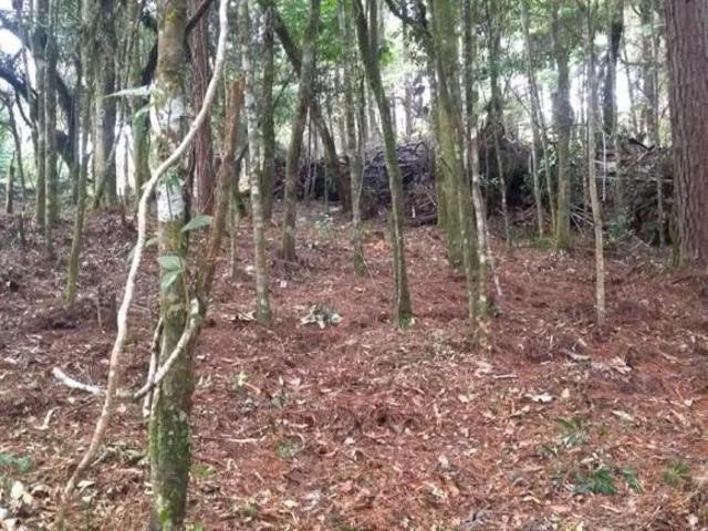 Terreno venda em Região Geográfica Imediata de Pouso Alegre, Camanducaia