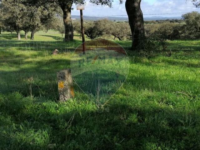 Terreno venda em Capelins (Santo António), Évora