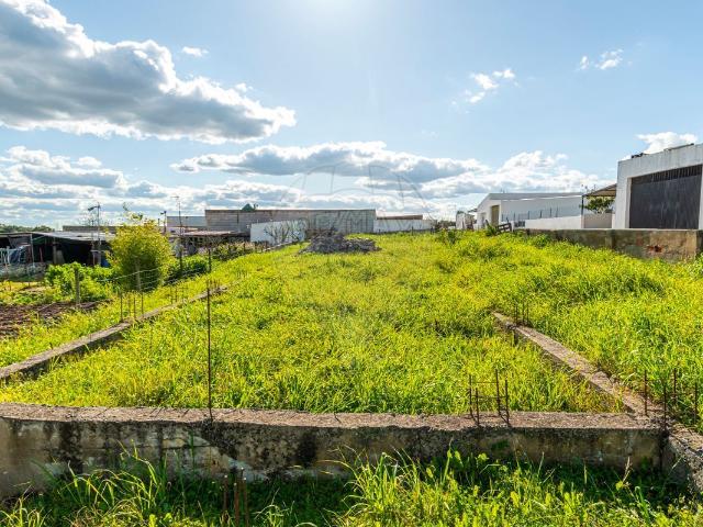 Terreno venda em Mouzinhos, Montemor-o-novo