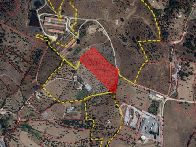 Terreno venda em Silveiras, Montemor-o-novo