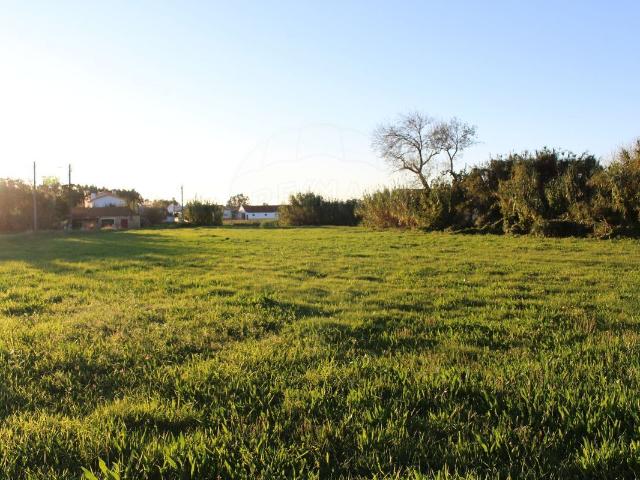 Terreno venda em Tojeiro, Montemor-o-velho