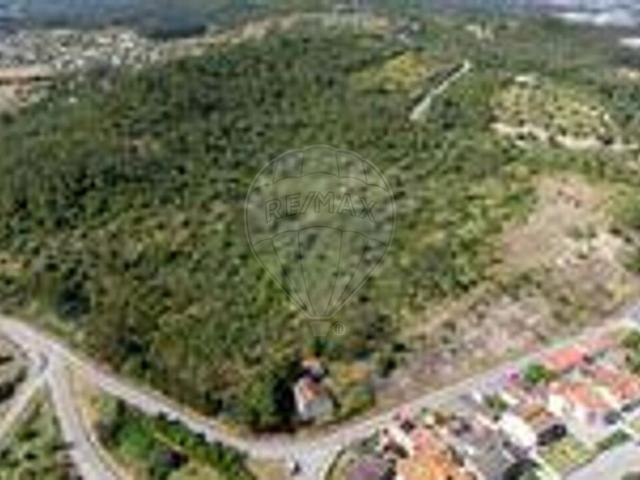 Terreno venda em Montemor-o-Velho e Gatões, Montemor-o-velho