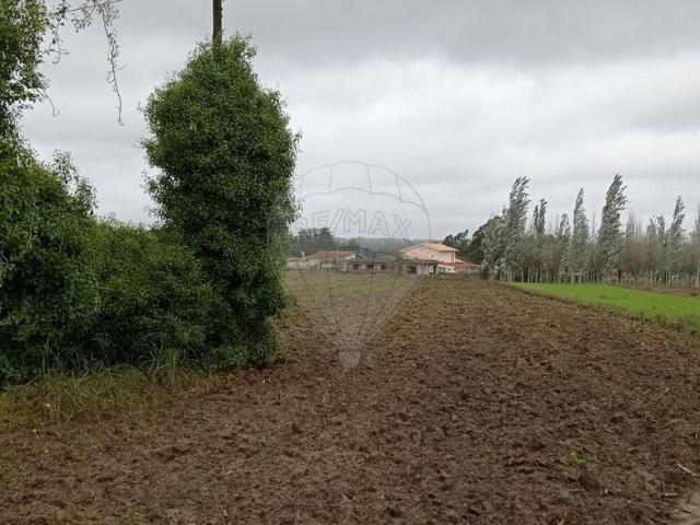 Terreno venda em Vergieira, Montemor-o-velho