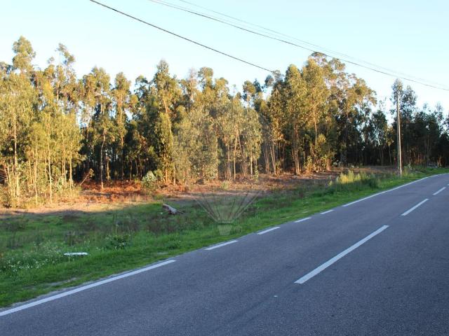 Terreno venda em Arneiro do Tecelão, Montemor-o-velho