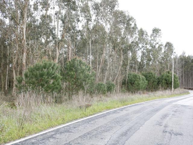Terreno venda em Arneiro do Tecelão, Montemor-o-velho