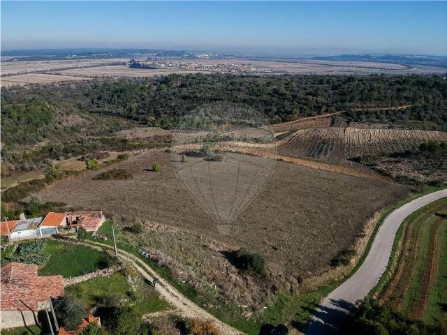 Terreno venda em Presalves, Montemor-o-velho