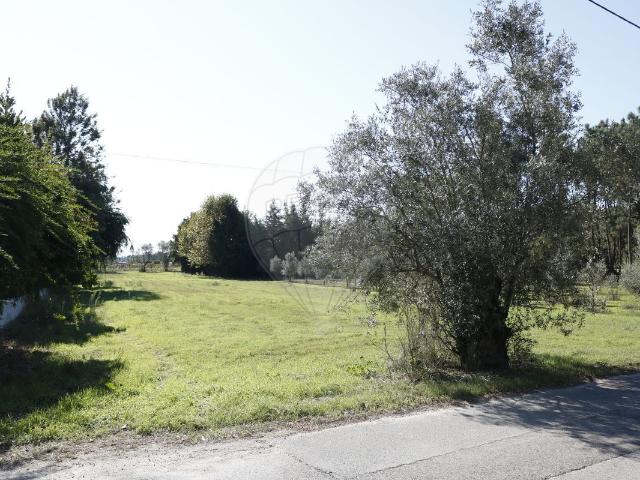 Terreno venda em Resgatados, Montemor-o-velho