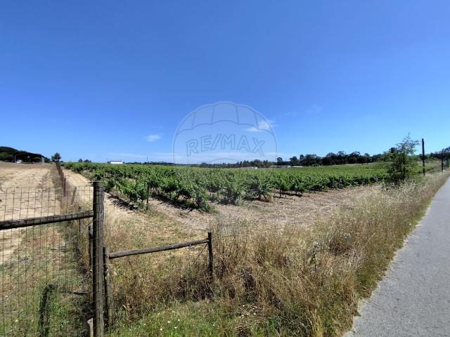 Terreno venda em Craveira do Sul, Montijo