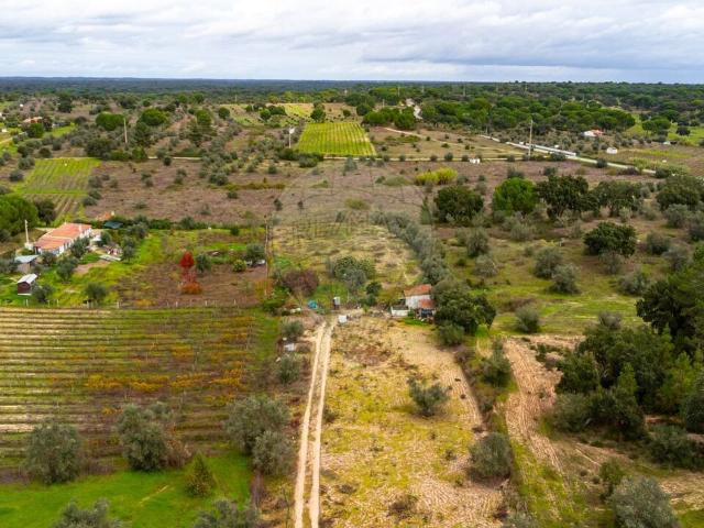 Terreno venda em Mora, Évora