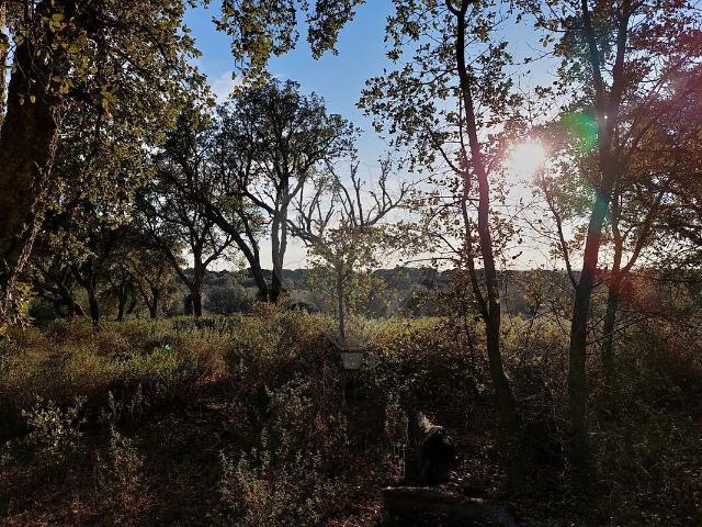 Terreno venda em Mora, Évora