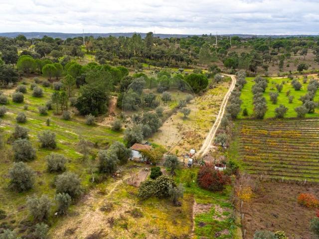 Terreno venda em Mora, Évora