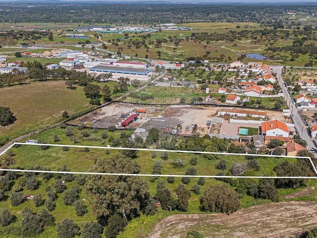 Terreno venda em Mora
