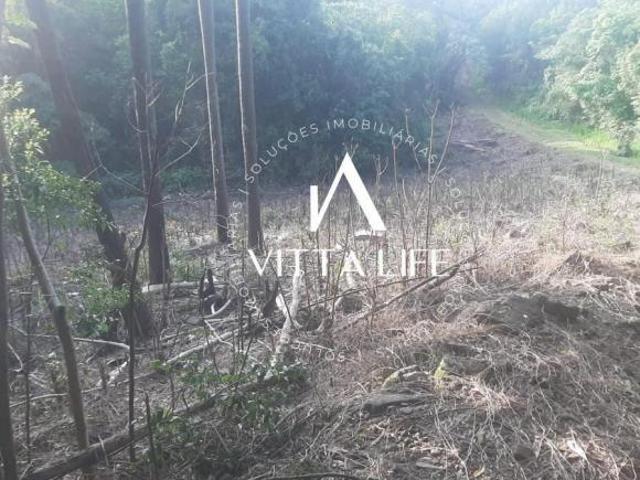 Terreno venda em Região Geográfica Imediata de Novo Hamburgo - São Leopoldo, Morro Reuter