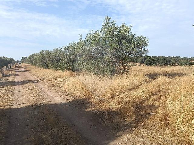 Terreno venda em Granja, Évora