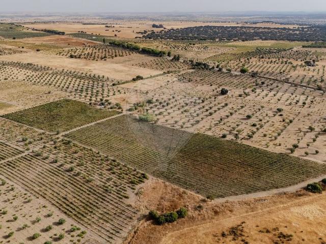 Terreno venda em Mourã, Beja