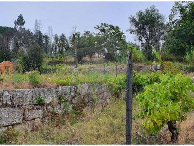 Terreno venda em Mouraz e Vila Nova da Rainha, Tondela